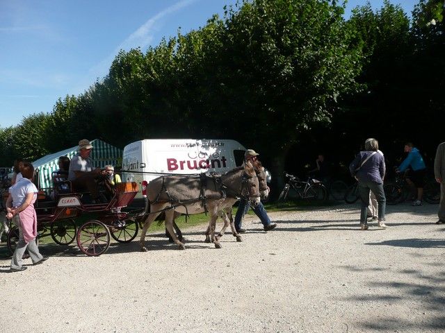 dimanche (11).jpg